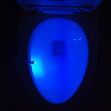 Load image into Gallery viewer, Toilet Induction LED Night Light